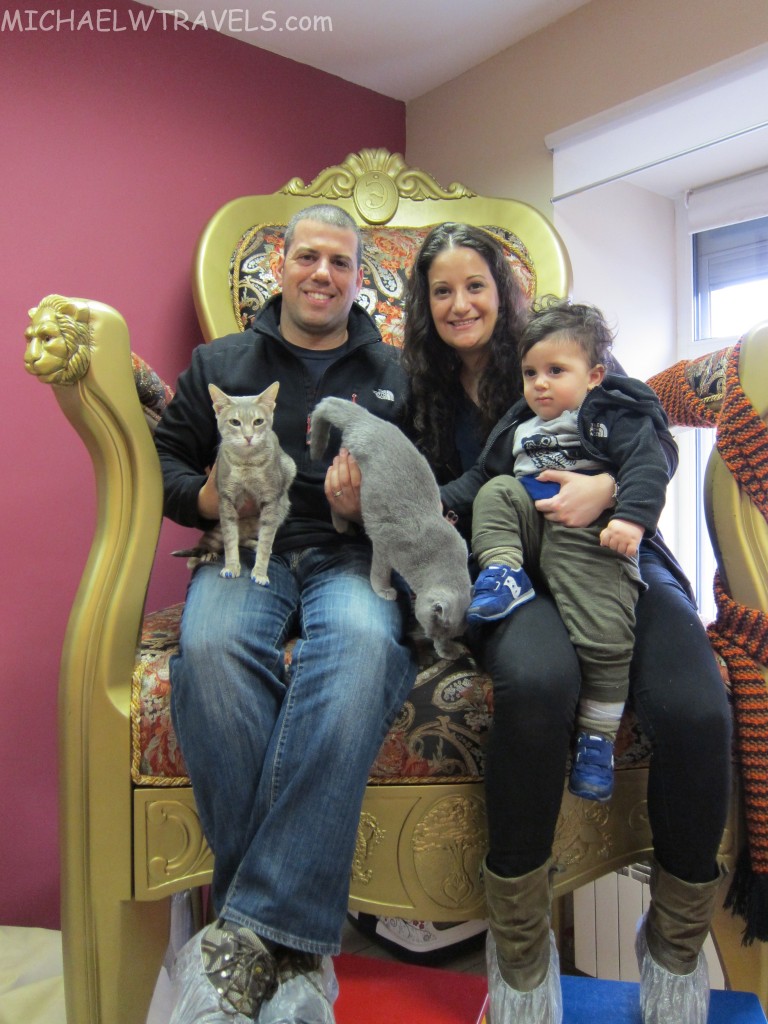 a man and woman sitting on a gold chair with cats