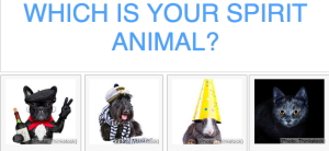 a group of animals with hats