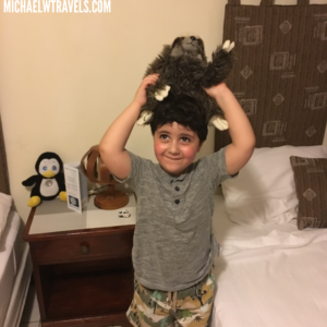 a boy holding a stuffed animal on his head