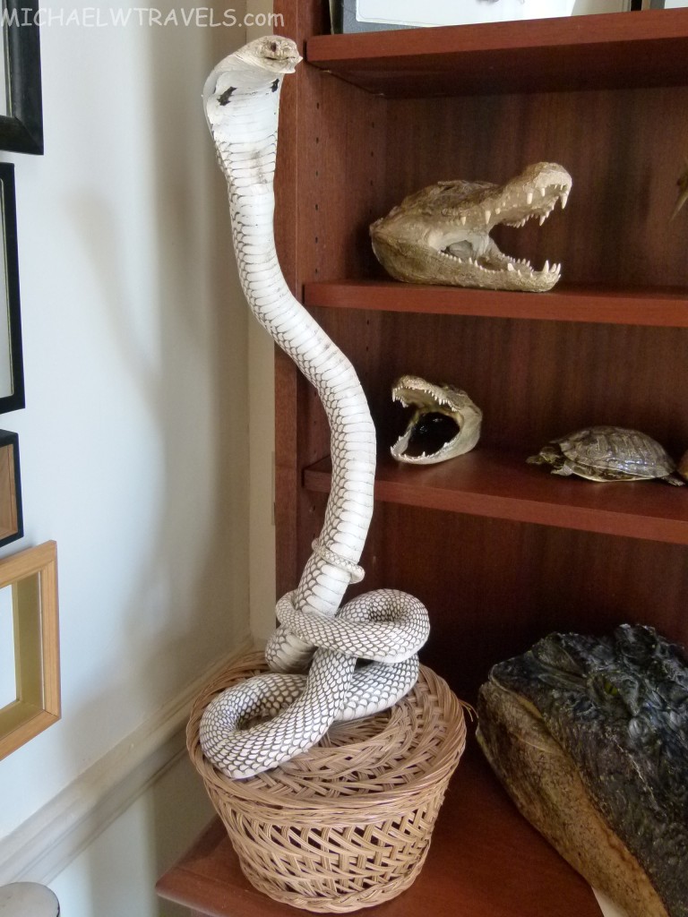 a snake wrapped around a basket with snakes heads on it