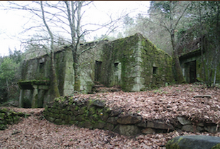 a stone building with moss growing on the ground