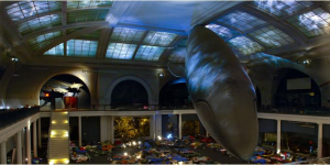 a large whale in a room