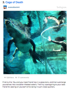 a person swimming in a tank with a crocodile