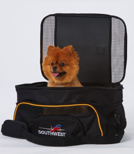 a dog sitting in a bag