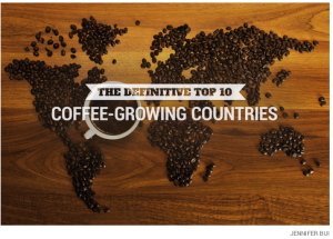 a map of the world made of coffee beans