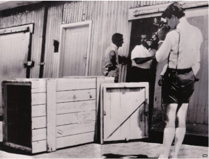a woman standing next to a wooden box