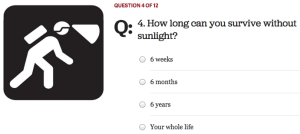a screenshot of a questionnaire