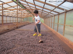 a boy in a greenhouse mopping rocks