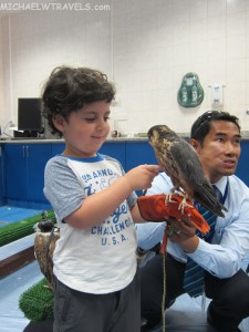 a young boy holding a bird