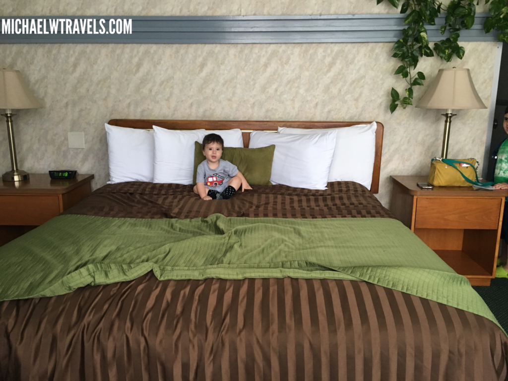 The Most Expensive Luggage Storage Ever 3 Michael W Travels...