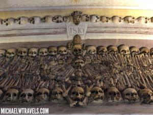 a wall with skulls and bones