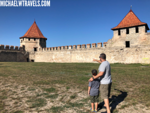 a man and child pointing at a castle with Carcassonne in the background