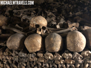 a pile of bones and skulls