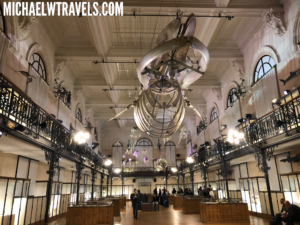 a large room with a large whale sculpture from the ceiling