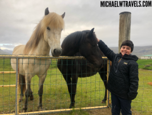 a boy standing next to two horses
