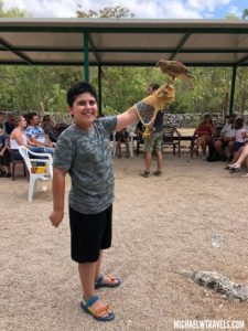 a boy holding a bird on his arm