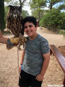 a boy holding an owl on his arm