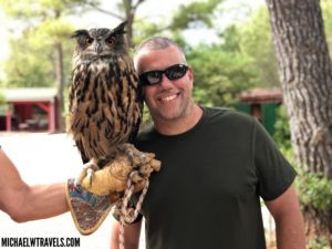 a man with an owl on his shoulder