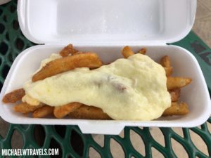 a white foam container with french fries and gravy