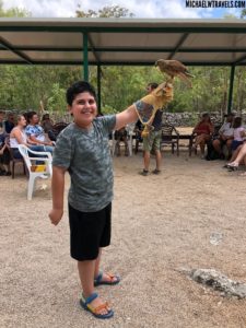 a boy holding a bird on his arm