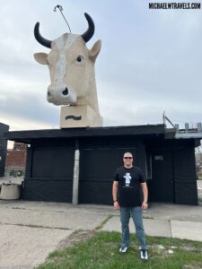 a man standing in front of a cow statue