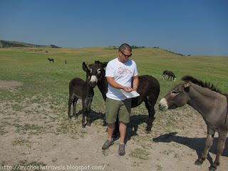 a man standing in a field with donkeys