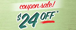 a green and red sale sign