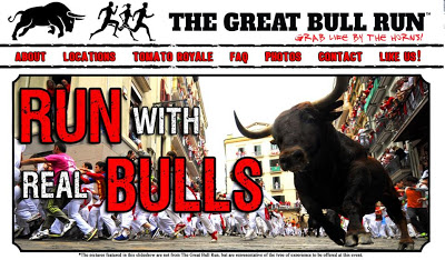a bull running in a street