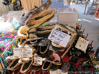 a display of alligator heads with signs