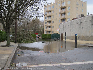 a flooded street with trees and a building