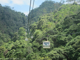 a cable car going through the forest