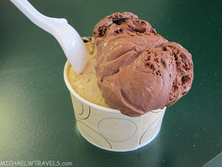 a cup of chocolate ice cream
