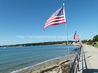 a flag on a pole by the beach