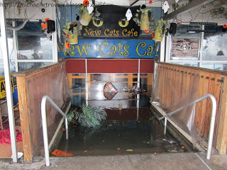a flooded entrance to a cat cafe