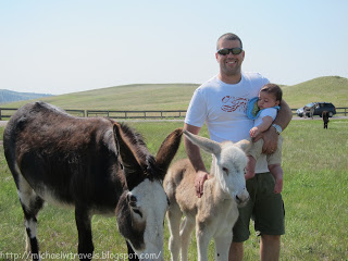 a man holding a baby and two donkeys