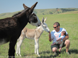 a man holding a baby and a donkey
