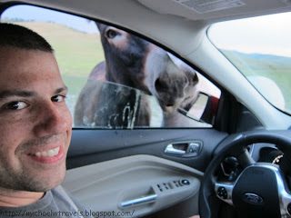 a man in a car with a donkey behind him