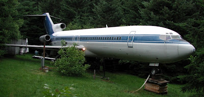 a plane on display in a forest