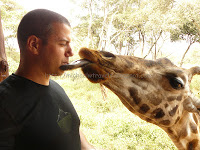 a man licking a giraffe