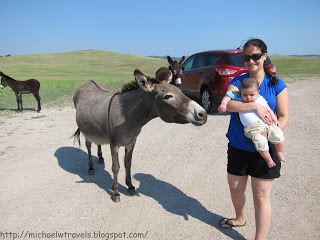 a woman holding a baby and a donkey